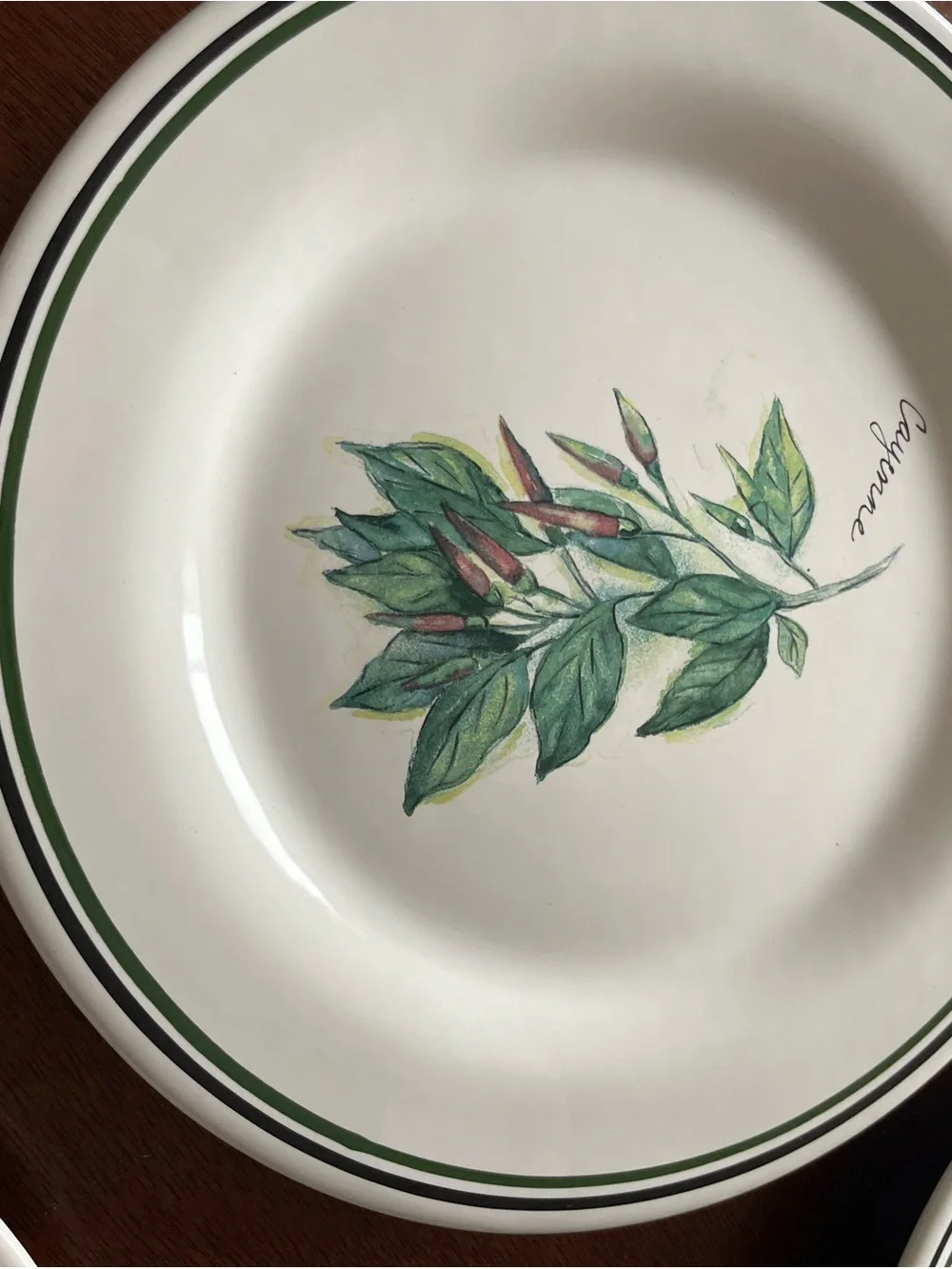 WILLIAMS SONOMA Portugal HERBS SALAD PLATES set of 4 Bay Thyme Cayenne Tarragon